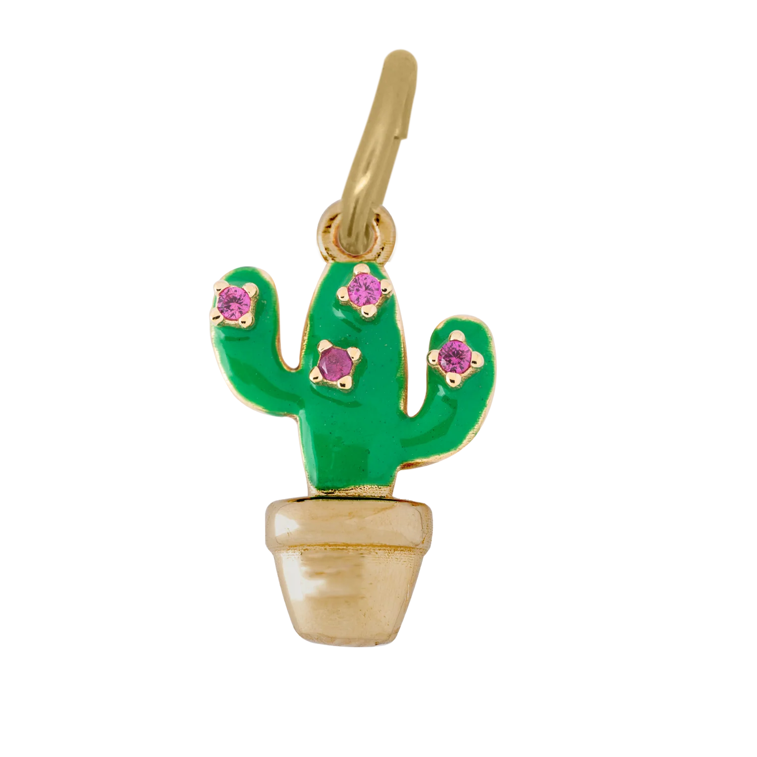 Charm Cactus - Image 2